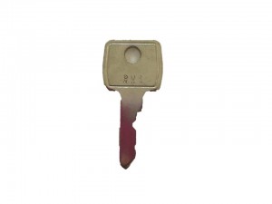 1p Key Rv RV1 Pass Key - Nukey